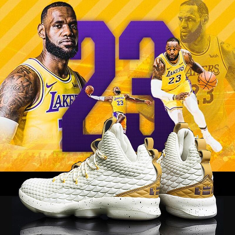 Zapatillas de baloncesto lebron james sale